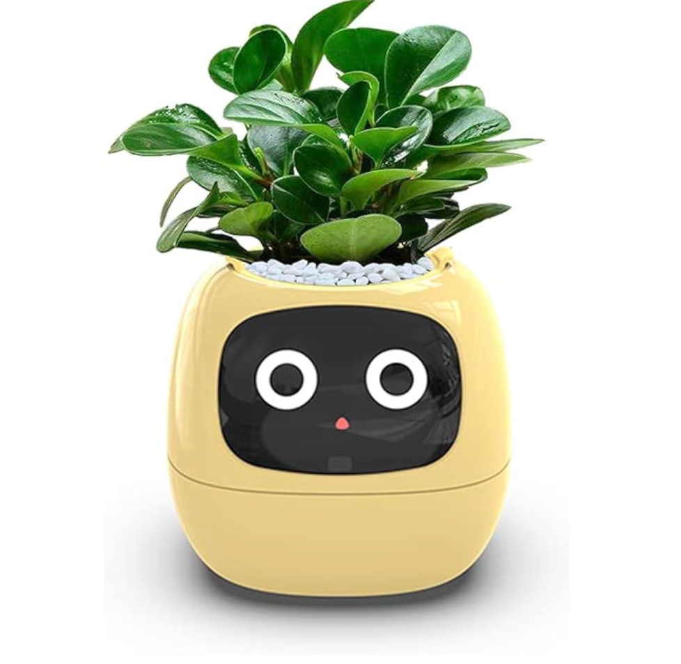Smart Flowerpot With Multiple Expressions
